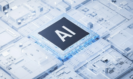 Private Deployment of Large Models